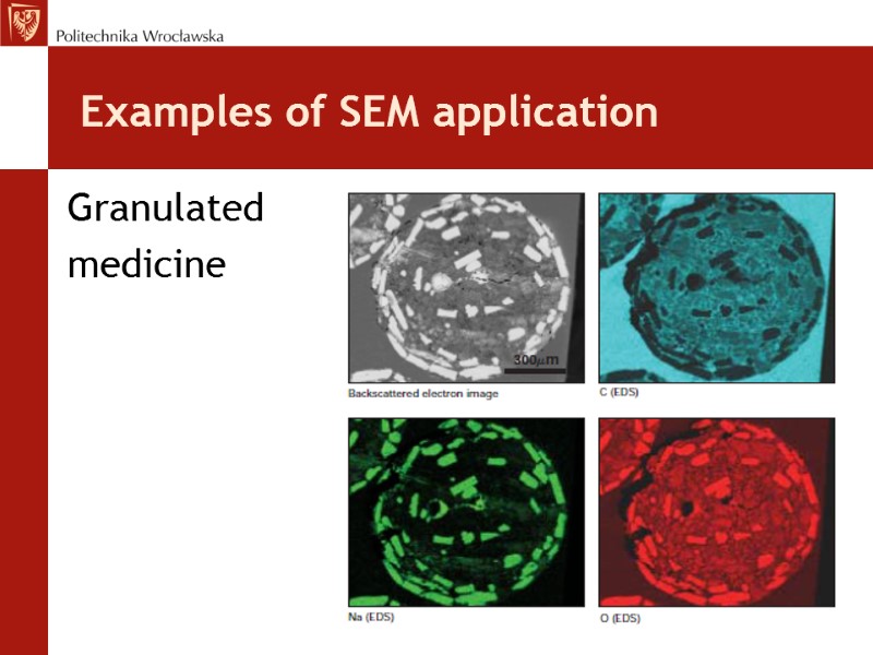 Examples of SEM application Granulated  medicine